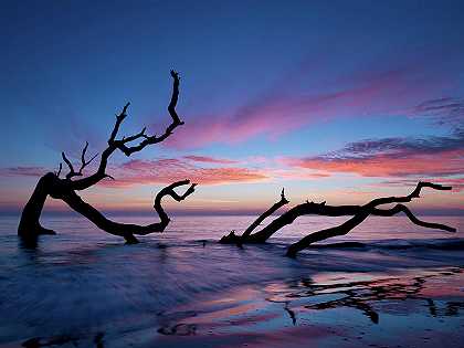 浮木海滩 – 7200×5400px