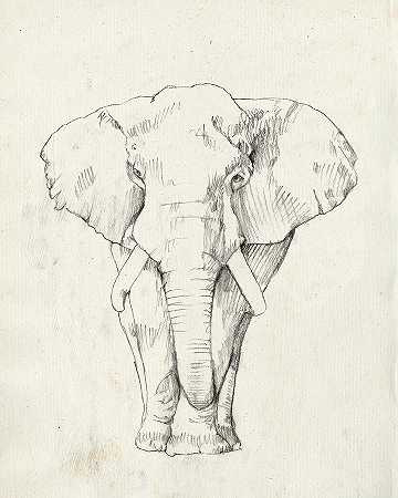 大象肖像一 – 4800×6000px