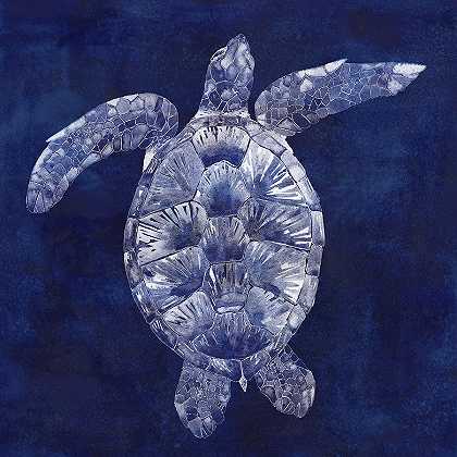 海龟影II – 5400×5400px