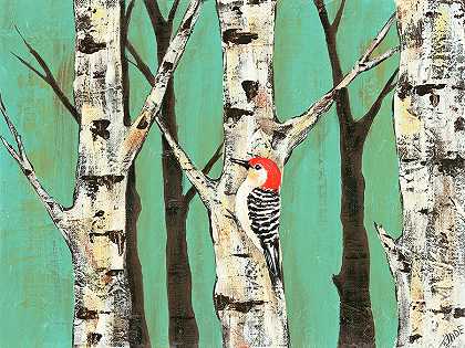 Teal II上的桦树林 – 7200×5400px