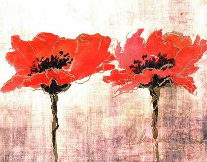 鲜艳的红色罂粟花V – 8400×6600px