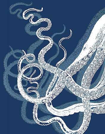 章鱼的触须是蓝色和白色的 – 3300×4200px