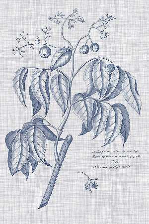 海军蓝亚麻植物Ix – 4800×7200px