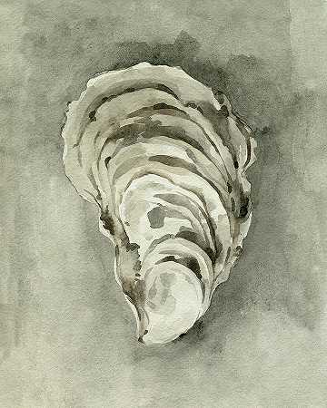 中性牡蛎壳II – 4800×6000px