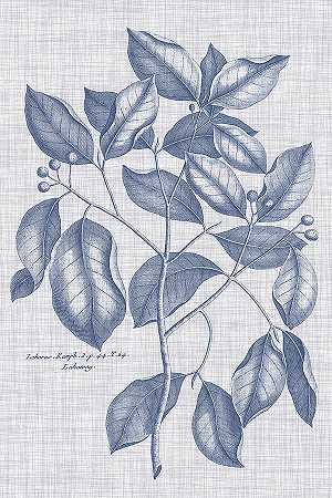 海军蓝亚麻植物七 – 4800×7200px