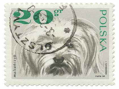 波兰白色邮票II – 4800×3600px