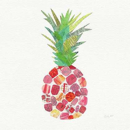 热带乐趣菠萝I – 7203×7203px