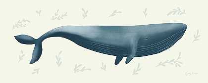 海洋生物鲸鱼 – 10500×4206px