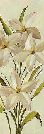 优雅的白色花朵 – 3700×11100px