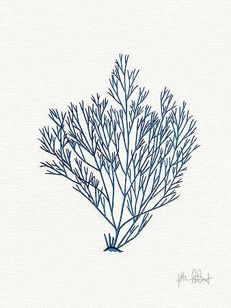海洋花园II皇家蓝 – 4511×6000px