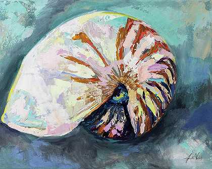 鹦鹉螺壳 – 9571×7647px