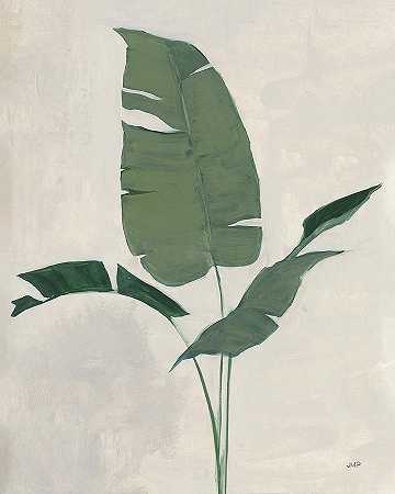 棕榈植物II – 8054×10068px