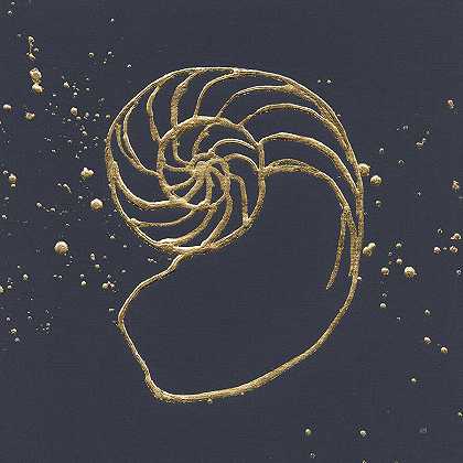 金色鹦鹉螺II – 8971×8971px