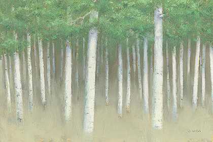 绿色森林色调 – 10800×7200px