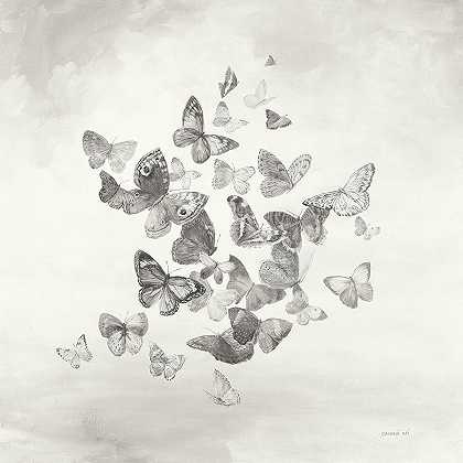 美丽的蝴蝶 – 7942×7942px