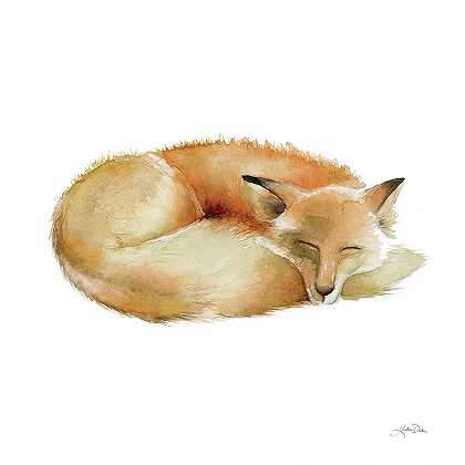 睡白狐狸 – 6000×6000px
