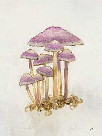 林地蘑菇IIi – 7200×9600px