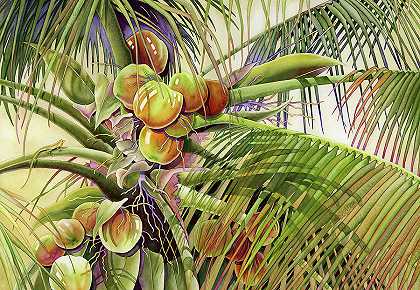 椰子树 – 11700×8100px
