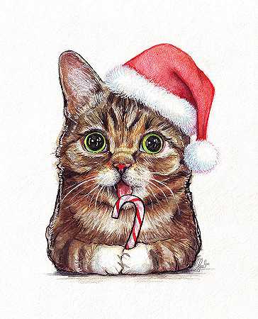 圣诞猫圣诞动物 – 5069×6263px