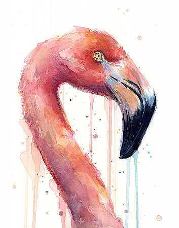 粉色火烈鸟-面向右侧 – 9792×12456px