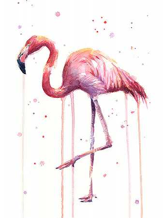 粉色水彩火烈鸟 – 12619×16825px