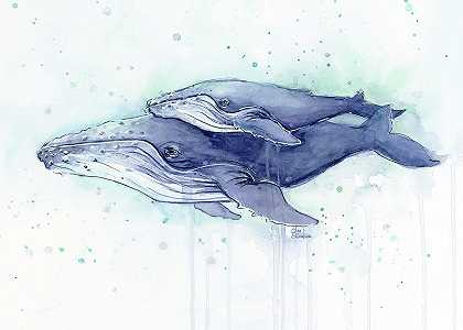 鲸鱼座头鲸水彩画妈妈和宝宝 – 14885×10632px