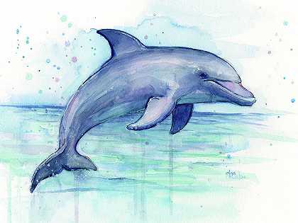水彩画海豚画-面向右侧 – 10354×7765px