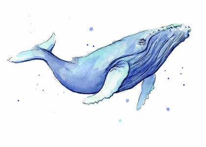 鲸鱼水彩画座头鲸 – 10493×7496px