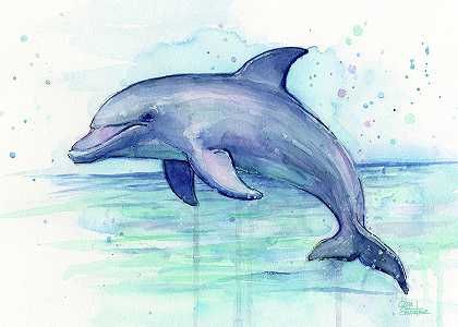 海豚水彩 – 10562×7544px