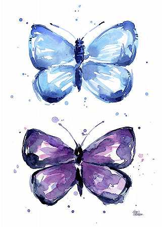 蝴蝶是蓝色和紫色的 – 8948×12528px