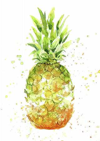 抽象水彩菠萝 – 7320×10249px