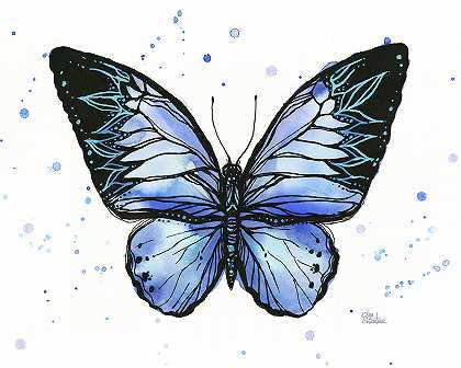 蓝色部落蝴蝶 – 13832×11066px