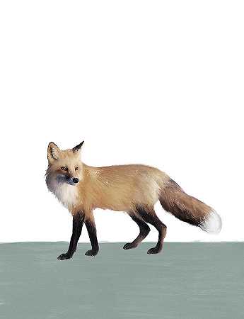 狐狸对鼠尾草 – 6900×9000px