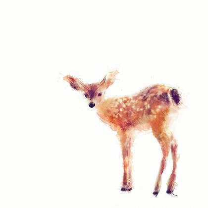 小鹿 – 9000×9000px