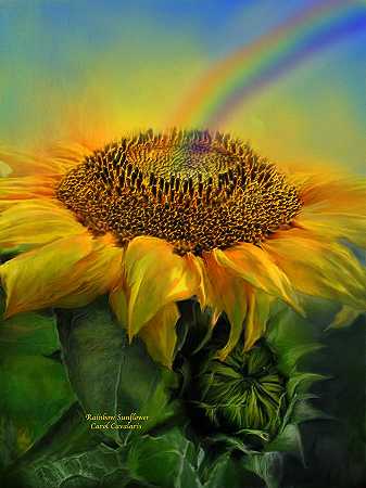 彩虹向日葵 – 4048×5400px