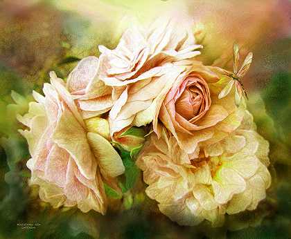 玫瑰黄的奇迹 – 6900×5700px