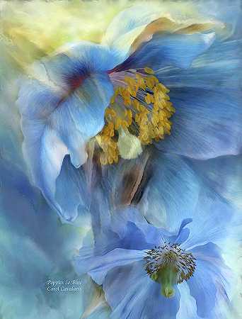 罂粟花那么蓝 – 5700×7500px