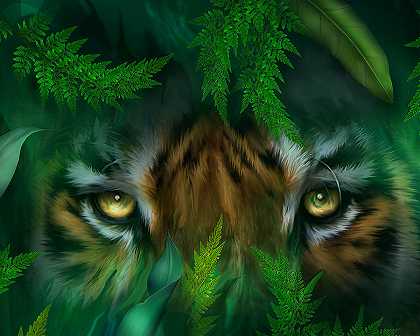 丛林之眼-老虎 – 4500×3600px