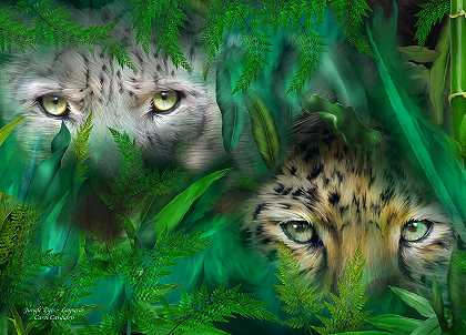 丛林之眼-豹子 – 5658×4075px