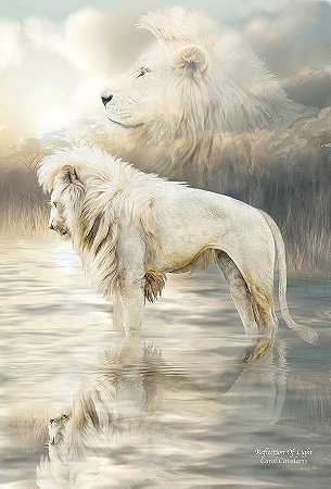 白狮——光的反射 – 5700×8400px
