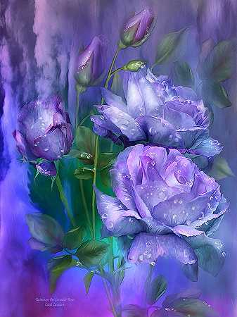 薰衣草玫瑰上的雨滴 – 5000×6667px