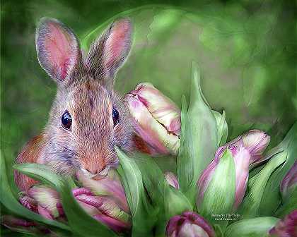 郁金香中的兔子 – 5400×4320px