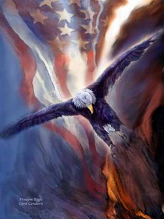 自由之鹰 – 3000×4001px