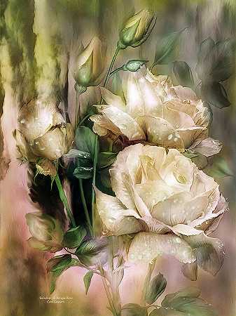 古董白玫瑰上的雨滴 – 3600×4800px
