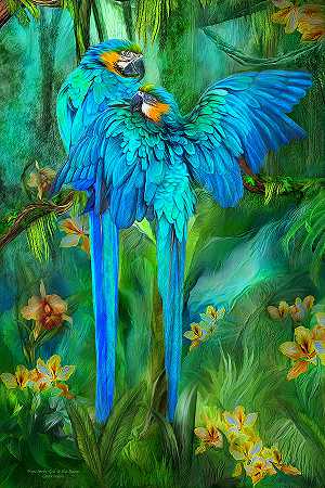 热带烈酒-金色和蓝色金刚鹦鹉 – 5400×8100px