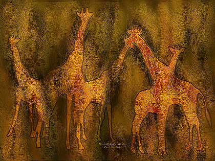 非洲的情绪——长颈鹿 – 6000×4500px