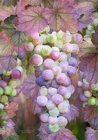 多种颜色的葡萄 – 5700×8100px