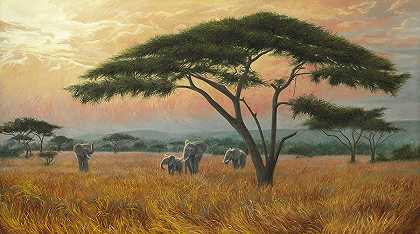 美丽的非洲 – 7827×4372px
