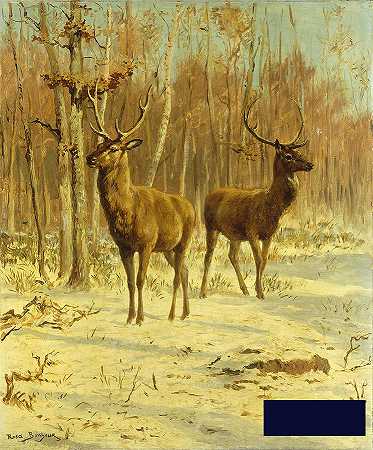 冬天空地上的两只牡鹿 -罗莎·博涅- 4232×5093px ✺