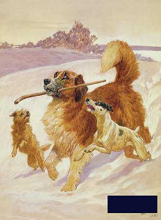 三只狗在雪中玩耍 -约翰·查尔顿- 3744×5104px ✺